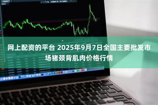 网上配资的平台 2025年9月7日全国主要批发市场猪颈背肌肉价格行情