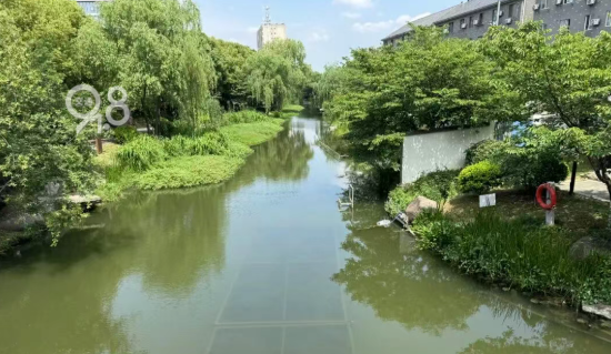 宁波股票配资网 刚跑完5km，杭州小伙纵身跳河连救两人！落水者体重近200斤，“我也不知道哪来的力气”